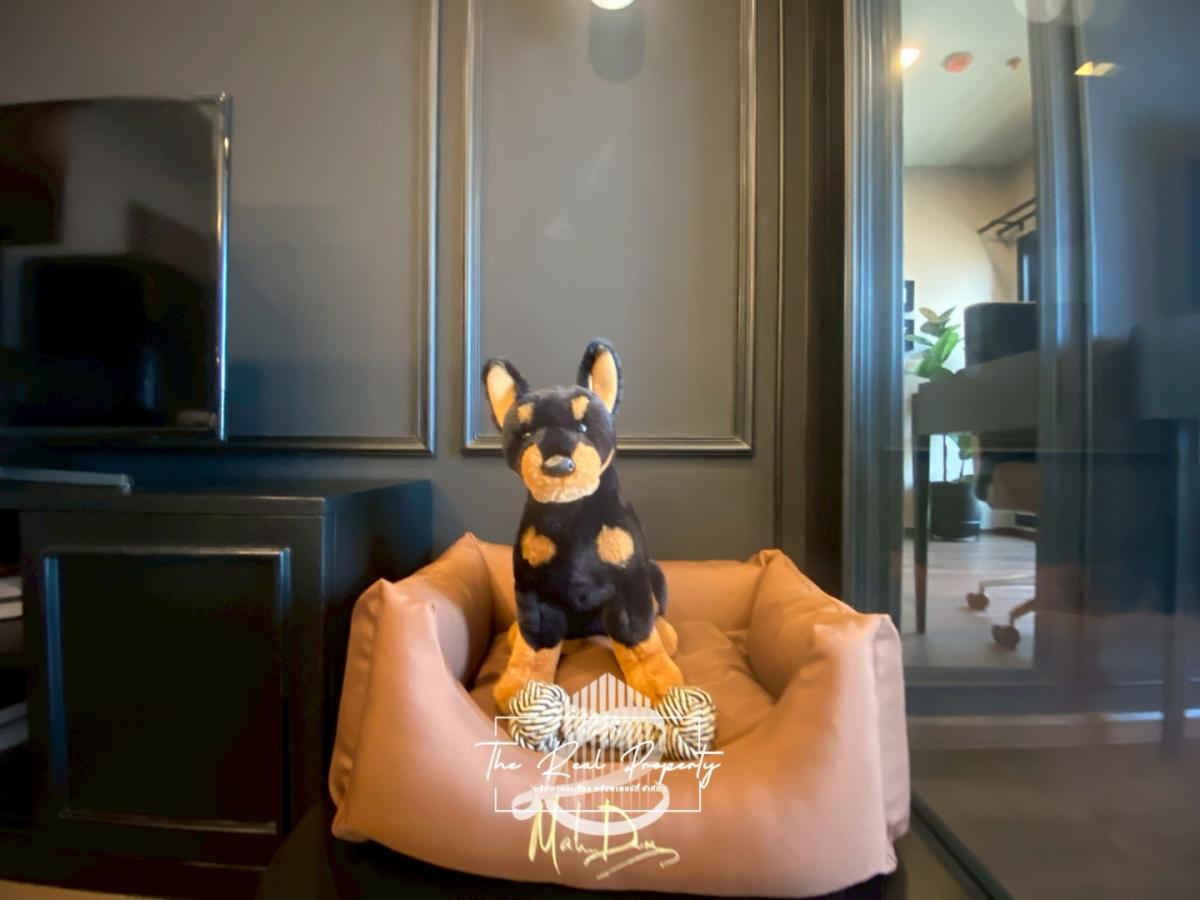 **ห้องตัวอย่าง**🐱🐶 Pet friendly💜 Metris District Ladprao : เมทริส ดิสทริค ลาดพร้าว 💜