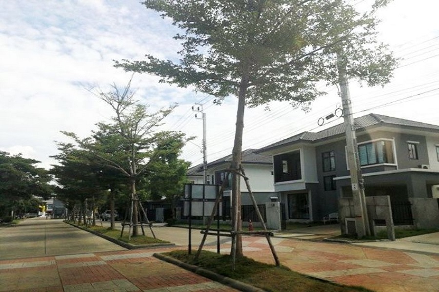 ดีไลท์-พุทธมณฑล-ศาลายา