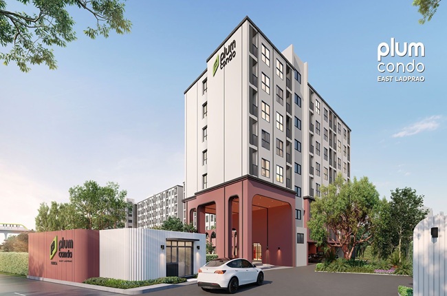 banner-project-details